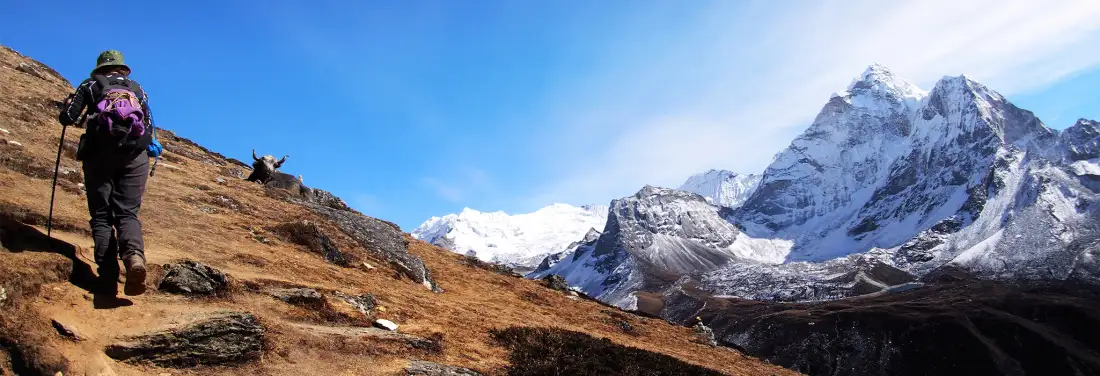 Trekkers ascending towards Nangkartshang